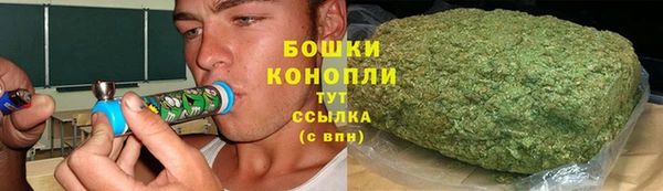 МДПВ Богородск