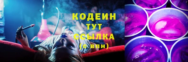МДПВ Богородск