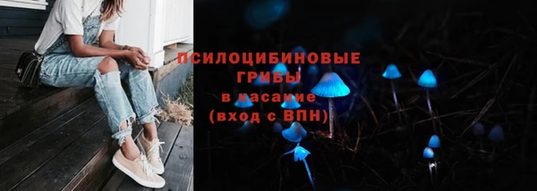 МДПВ Богородск